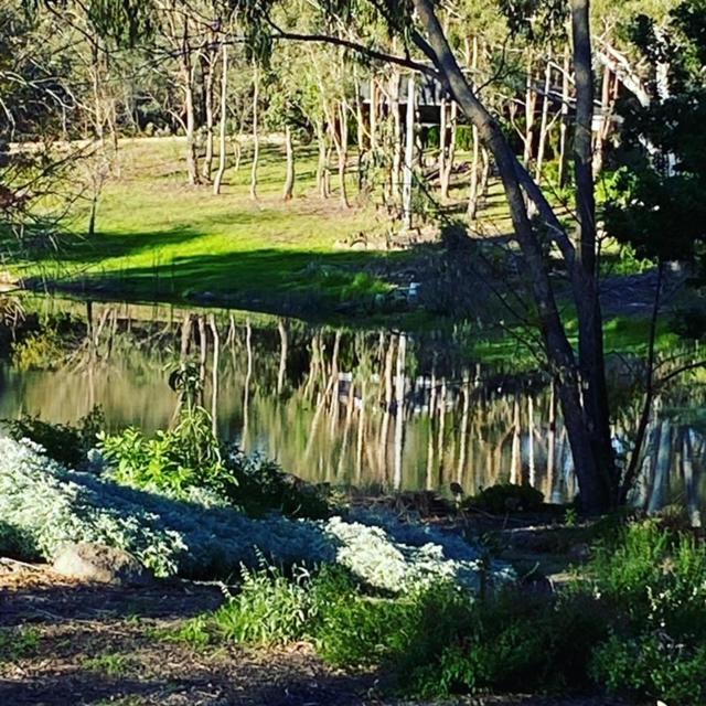 Granite Gardens Cottages & Lake Retreat Stanthorpe Exterior foto